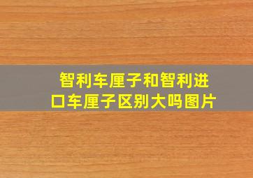 智利车厘子和智利进口车厘子区别大吗图片