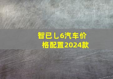 智已乚6汽车价格配置2024款