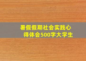 暑假假期社会实践心得体会500字大学生