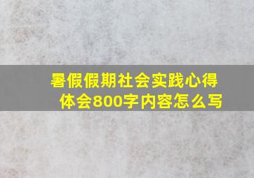 暑假假期社会实践心得体会800字内容怎么写