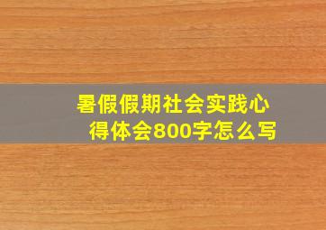 暑假假期社会实践心得体会800字怎么写