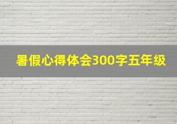 暑假心得体会300字五年级