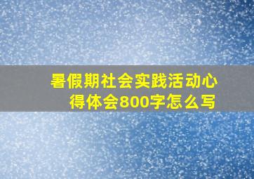 暑假期社会实践活动心得体会800字怎么写