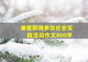 暑假期间参加社会实践活动作文800字