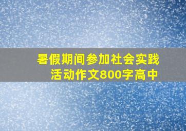 暑假期间参加社会实践活动作文800字高中