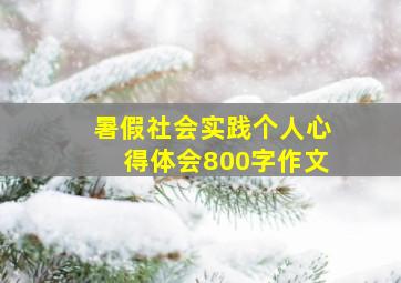 暑假社会实践个人心得体会800字作文