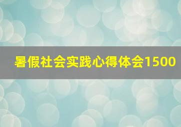 暑假社会实践心得体会1500