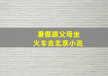 暑假跟父母坐火车去北京小说