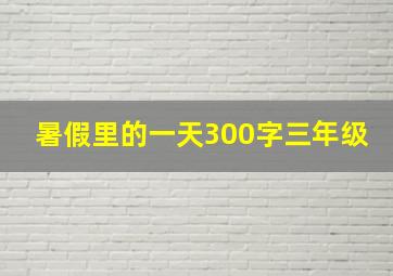 暑假里的一天300字三年级