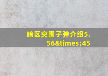 暗区突围子弹介绍5.56×45