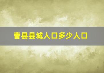 曹县县城人口多少人口