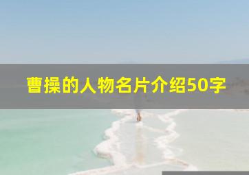 曹操的人物名片介绍50字