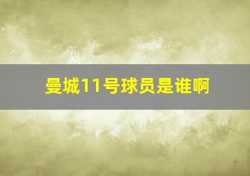 曼城11号球员是谁啊