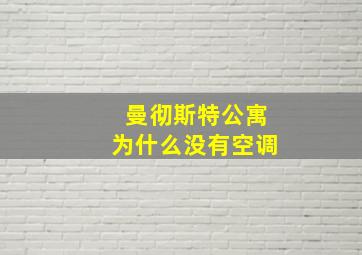 曼彻斯特公寓为什么没有空调