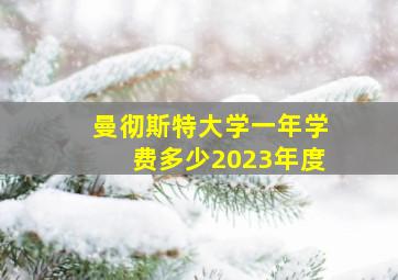 曼彻斯特大学一年学费多少2023年度