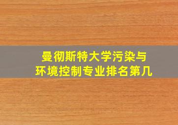 曼彻斯特大学污染与环境控制专业排名第几