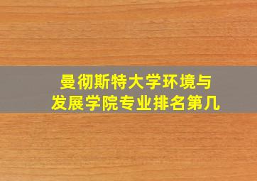 曼彻斯特大学环境与发展学院专业排名第几