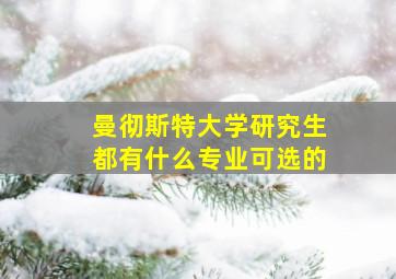 曼彻斯特大学研究生都有什么专业可选的