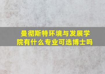 曼彻斯特环境与发展学院有什么专业可选博士吗