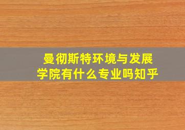 曼彻斯特环境与发展学院有什么专业吗知乎