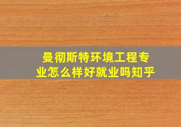 曼彻斯特环境工程专业怎么样好就业吗知乎