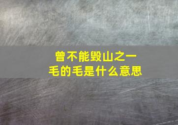 曾不能毁山之一毛的毛是什么意思