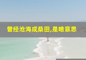 曾经沧海成桑田,是啥意思