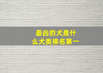 最凶的犬是什么犬类排名第一