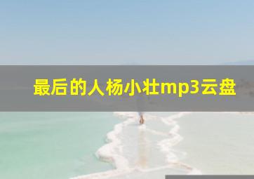 最后的人杨小壮mp3云盘