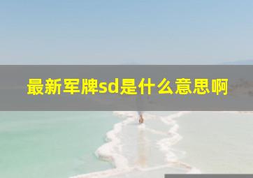 最新军牌sd是什么意思啊