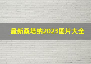 最新桑塔纳2023图片大全