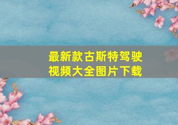 最新款古斯特驾驶视频大全图片下载