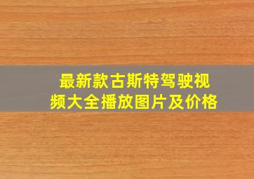 最新款古斯特驾驶视频大全播放图片及价格