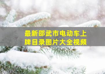 最新邵武市电动车上牌目录图片大全视频