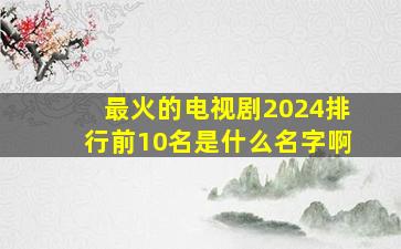 最火的电视剧2024排行前10名是什么名字啊