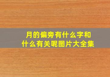 月的偏旁有什么字和什么有关呢图片大全集