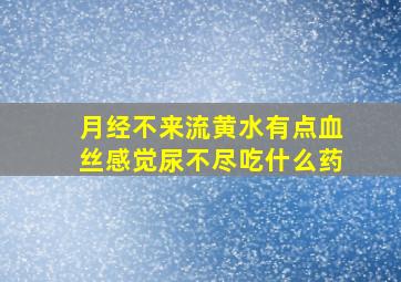 月经不来流黄水有点血丝感觉尿不尽吃什么药