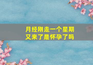 月经刚走一个星期又来了是怀孕了吗