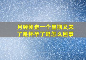 月经刚走一个星期又来了是怀孕了吗怎么回事