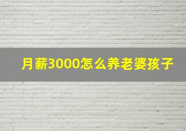 月薪3000怎么养老婆孩子