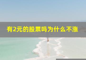 有2元的股票吗为什么不涨