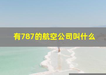 有787的航空公司叫什么