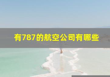 有787的航空公司有哪些