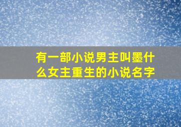 有一部小说男主叫墨什么女主重生的小说名字