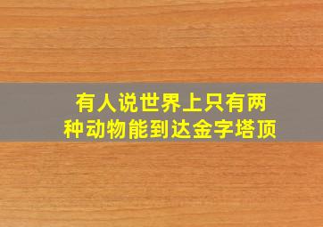 有人说世界上只有两种动物能到达金字塔顶