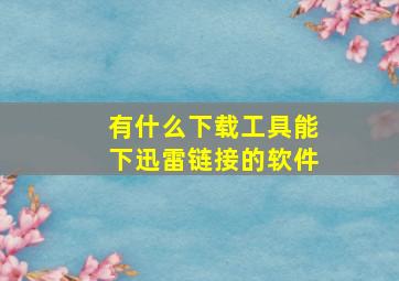 有什么下载工具能下迅雷链接的软件