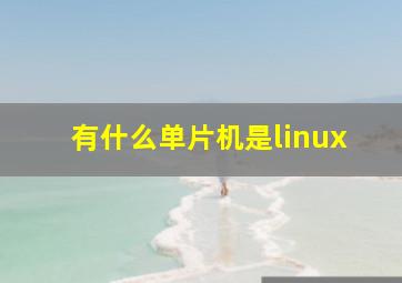 有什么单片机是linux