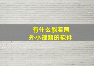 有什么能看国外小视频的软件