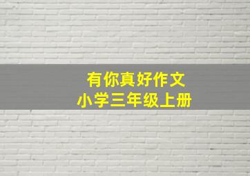 有你真好作文小学三年级上册