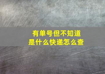 有单号但不知道是什么快递怎么查